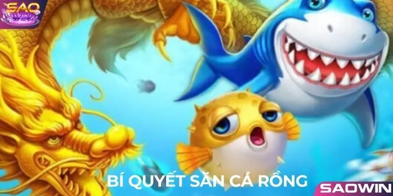 Kinh nghiệm tham gia săn cá Rồng trực tuyến đình đám