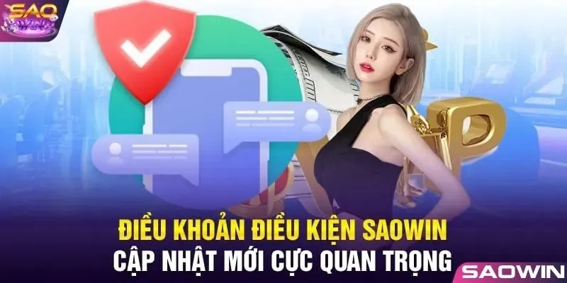 Những nội dung chính trong chính sách điều khoản và điều kiện